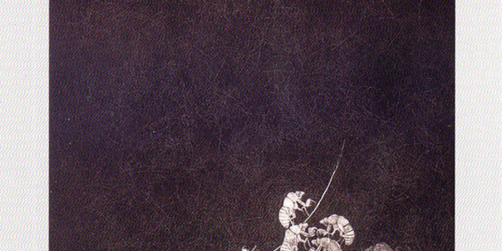 川井一光銅版画作品展