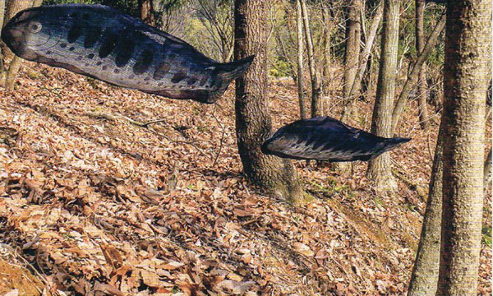 宇野貴美恵 藍染展