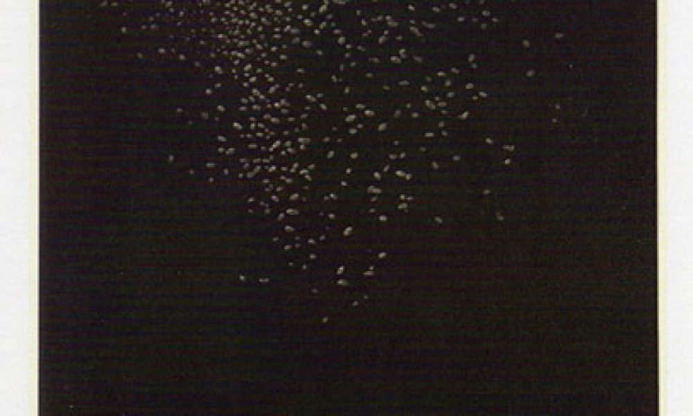 川井一光 銅版画展 -ふりかえり-