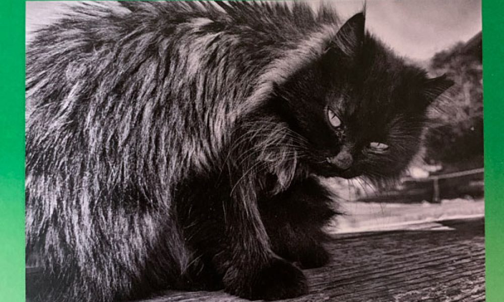 第6回 宇和島美術協会展