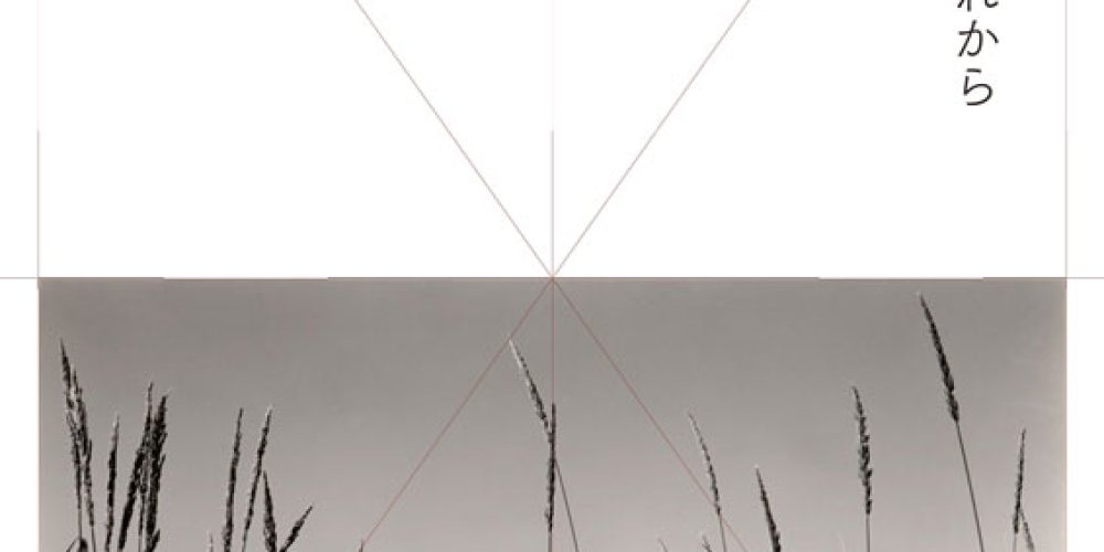 山川コレクション収蔵記念　PHOTOGRAPHY　写真のこれまで／これから