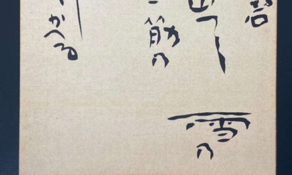 青蛾コレクション 碧梧桐 展