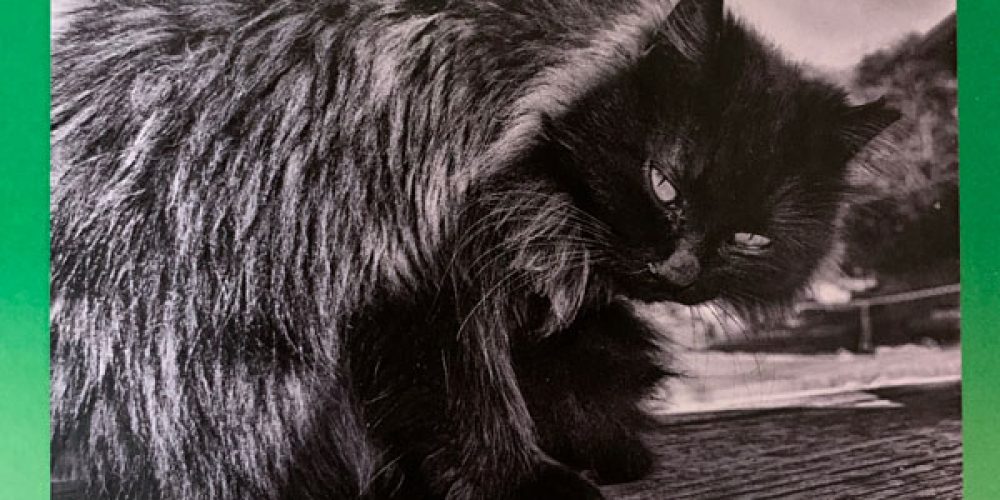 第6回 宇和島美術協会展