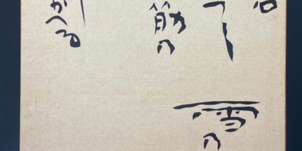 青蛾コレクション 碧梧桐 展