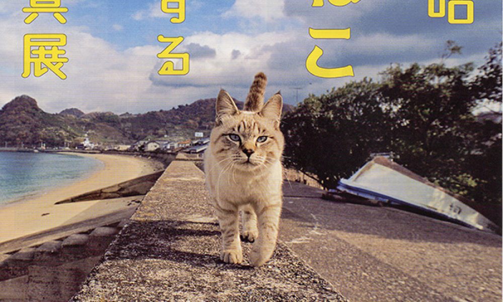 岩合光昭 いよねこ -猫と旅する写真展-